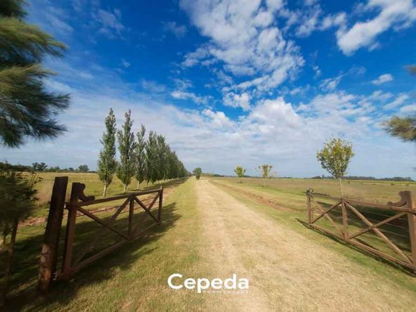 Cepeda Propiedades | VENTA "CHACRAS DON FRANCISCO"