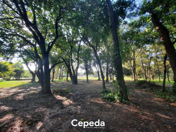 Cepeda Propiedades | EXCLUSIVO LOTE A LA VENTA