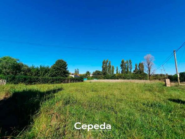 Cepeda Propiedades | LOTES EN BARRIO RURALIA