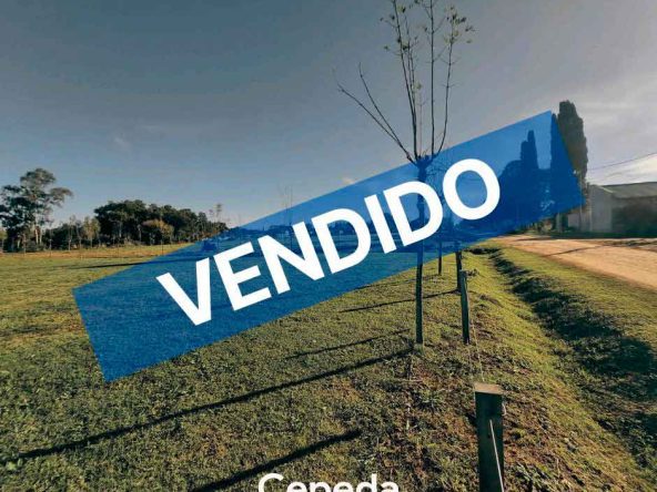 Cepeda Propiedades | LOTEO "LA LUCIA" LOBOS