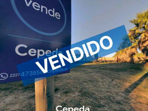 Cepeda Propiedades | VENTA LOTE EN LAS PALMAS CENTRO