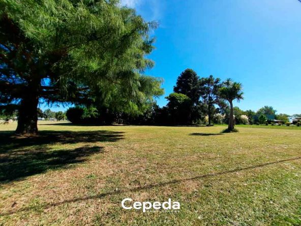 Cepeda Propiedades | LOTES EN VENTA COUNTRY CLUB LOBOS