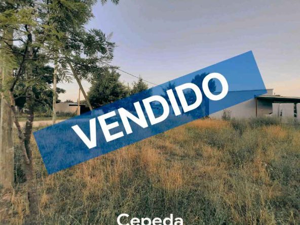 Cepeda Propiedades | LOTE A LA VENTA EN EMPALME LOBOS
