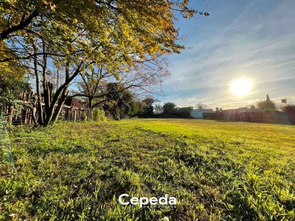 Cepeda Propiedades | LOTES EN VENTA EN LOBOS