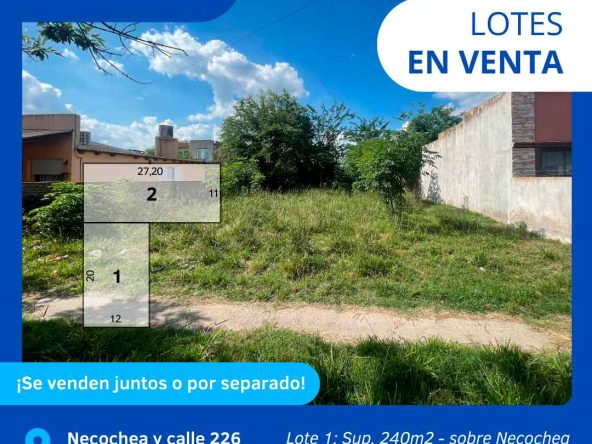 Cepeda Propiedades | LOTES EN VENTA EN LOBOS