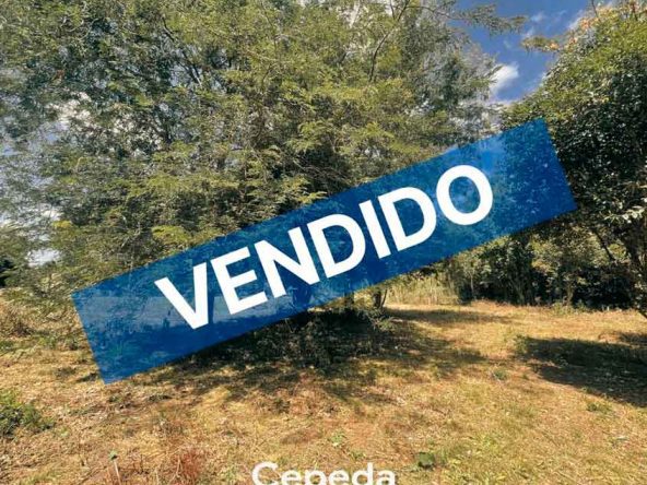 Cepeda Propiedades | LOTE EN VENTA EN LA LAGUNA DE LOBOS