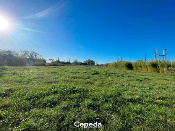 Cepeda Propiedades | NUEVO LOTEO EN VENTA